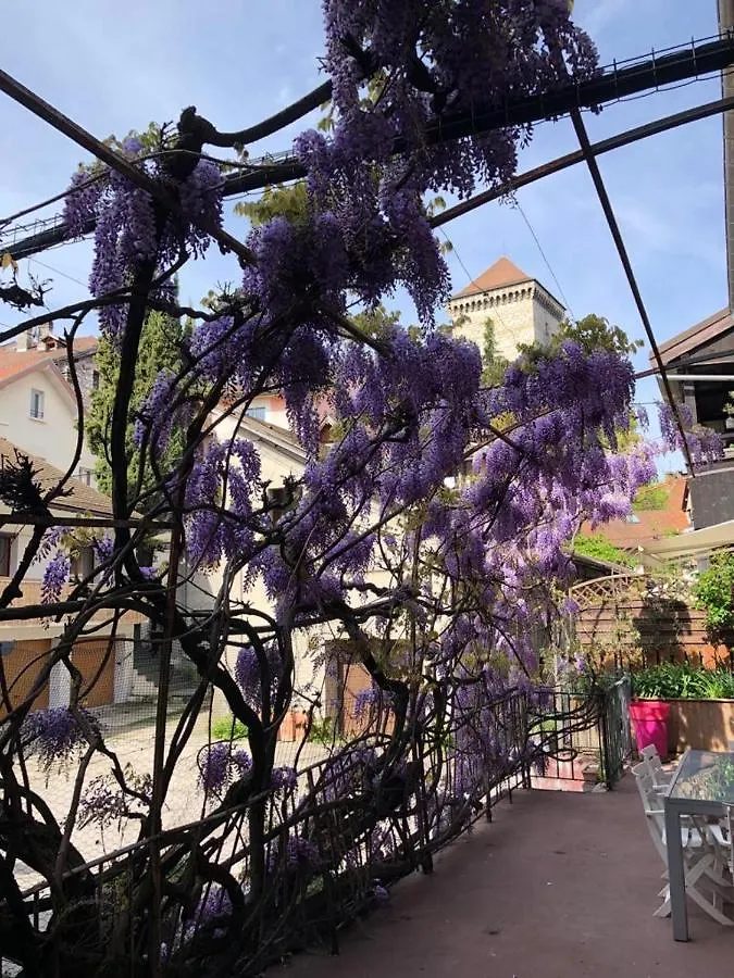 Apartment La Glycine Du Faubourg France