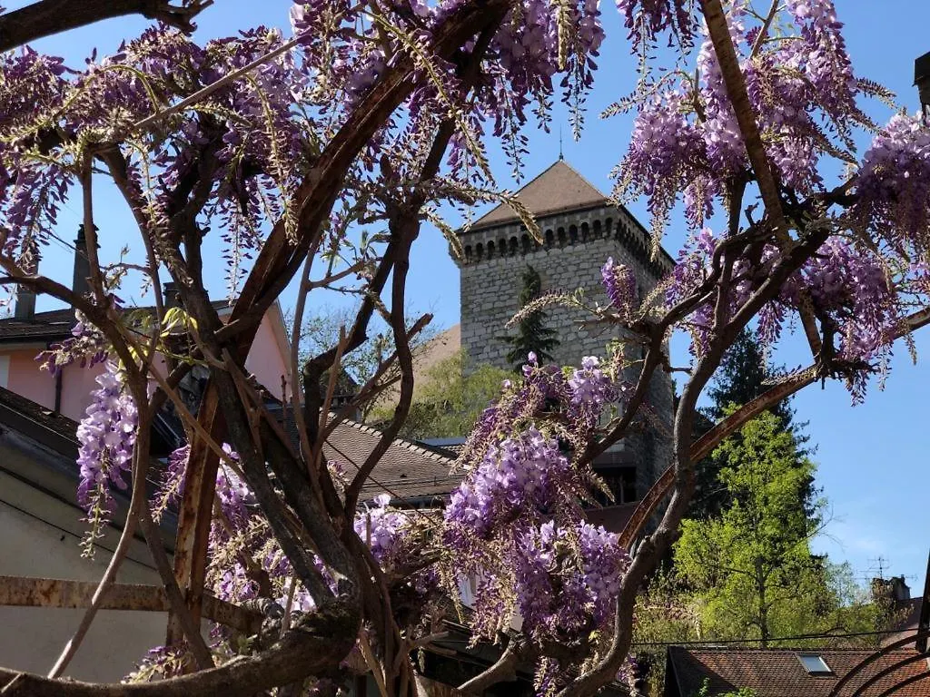 La Glycine Du Faubourg Annecy