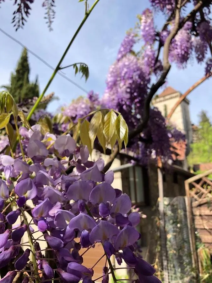 La Glycine Du Faubourg Annecy